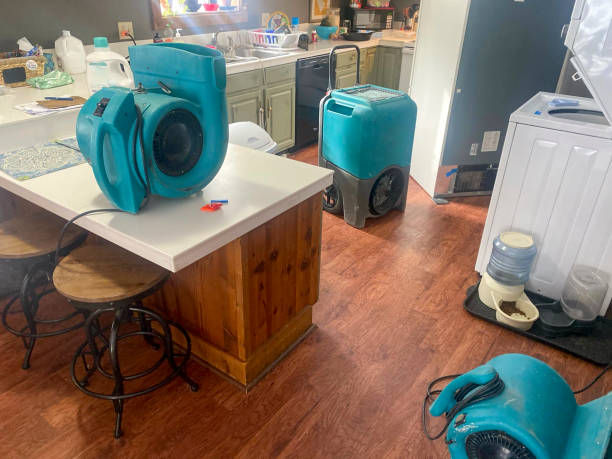 Best Water damage cleanup near me  in Muskogee, OK