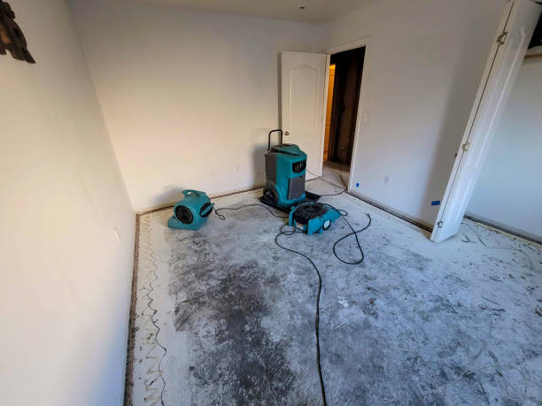 Best Carpet water damage restoration  in Muskogee, OK