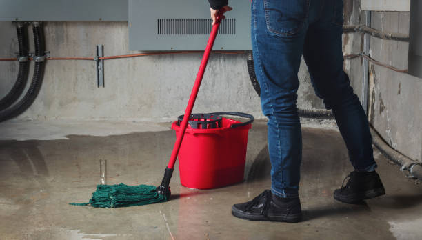 Best Mold removal after water damage  in Muskogee, OK