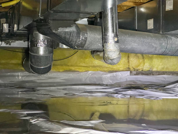 Best Flood restoration services  in Muskogee, OK