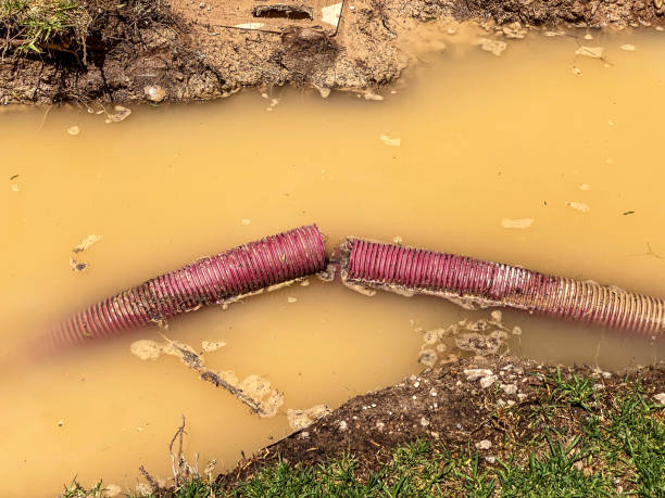 Best Water damage restoration near me  in Muskogee, OK